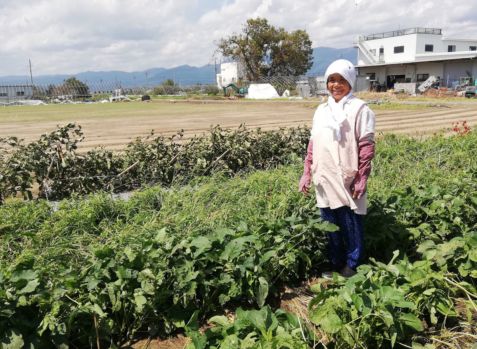 様々な野菜とお漬物加工等をされているベテラン女性農業者、「レイクスファーム」の辻清子さん。
